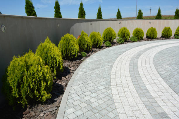 Best Cobblestone Driveway Pavers  in Dolton, IL