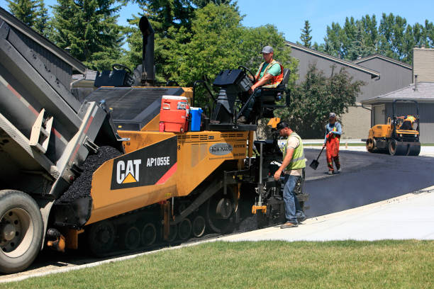 Best Professional Driveway Pavers  in Dolton, IL
